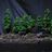 Forest Diorama