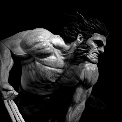 Wolverine Logan Movie