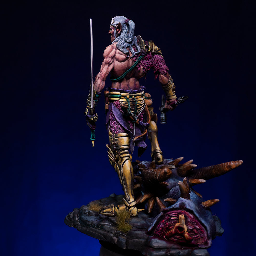 Elf Warrior