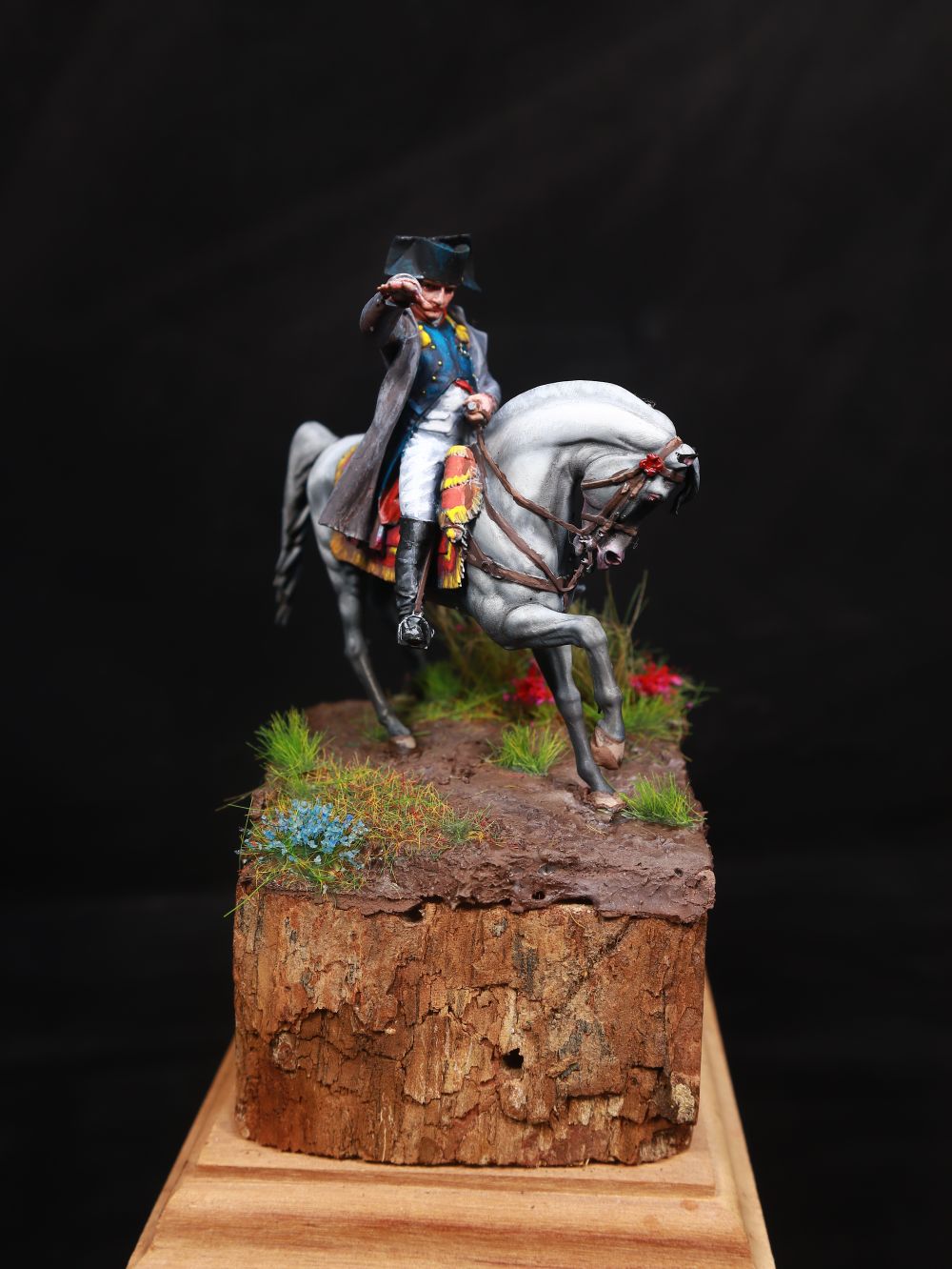 Napoleão Bonaparte
