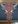 Lyferion