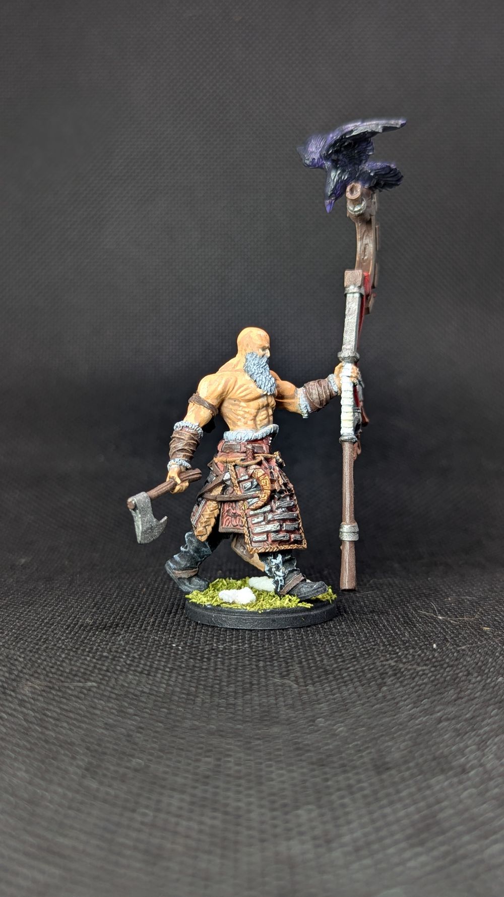 Nord Tactical Retinue - Conquest