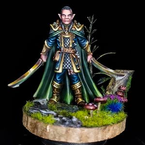 Elrond warrior preparado pra batalha