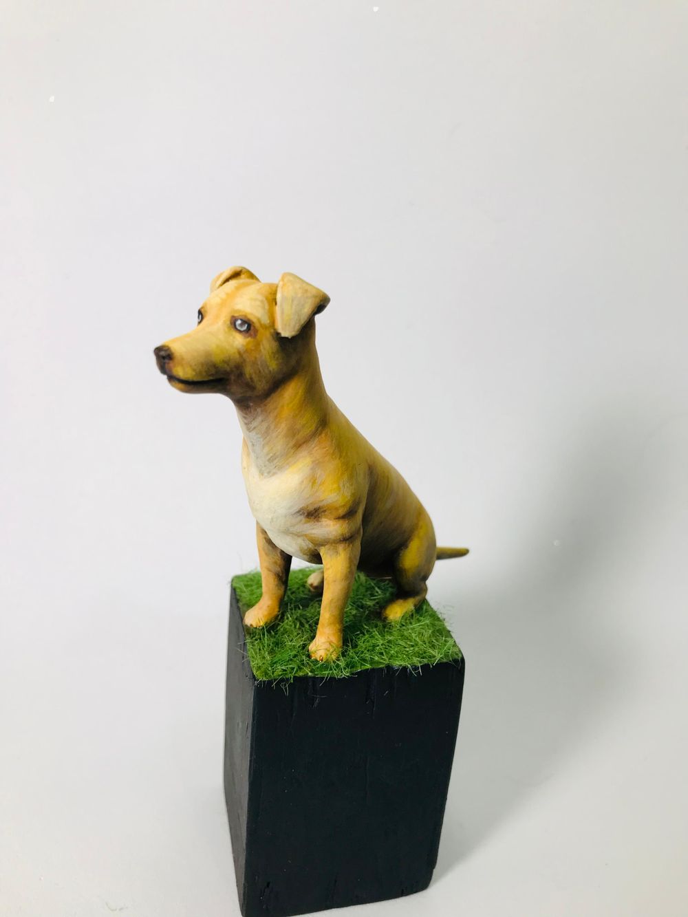 Brazilian Caramel Dog