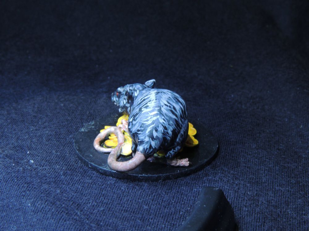 Rei rato / King Rat