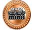 Bronze: Desafio 2024