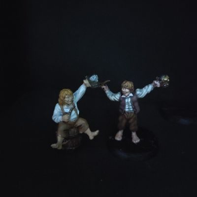 Peregrin Took & Meriadoc Brandebuque