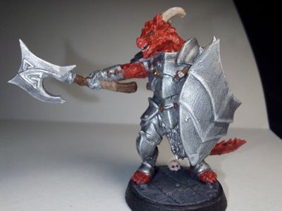 Dragonborn Fighter/Paladin