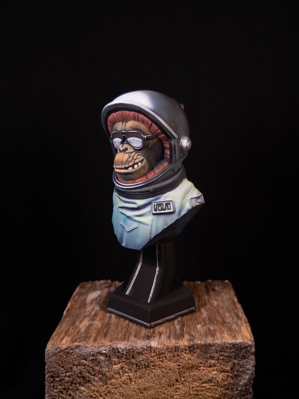 Intergalactic Monkey