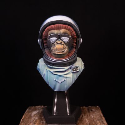Intergalactic Monkey