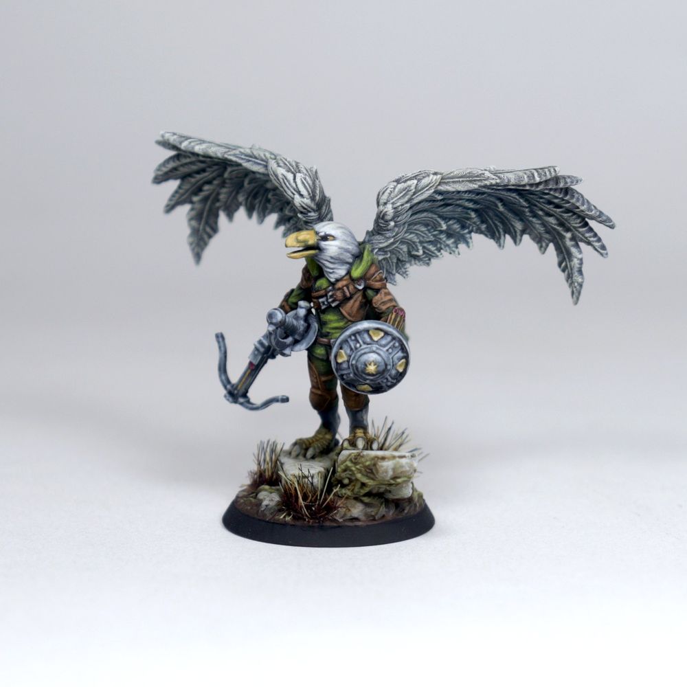 Aarakocra - D&D 5e