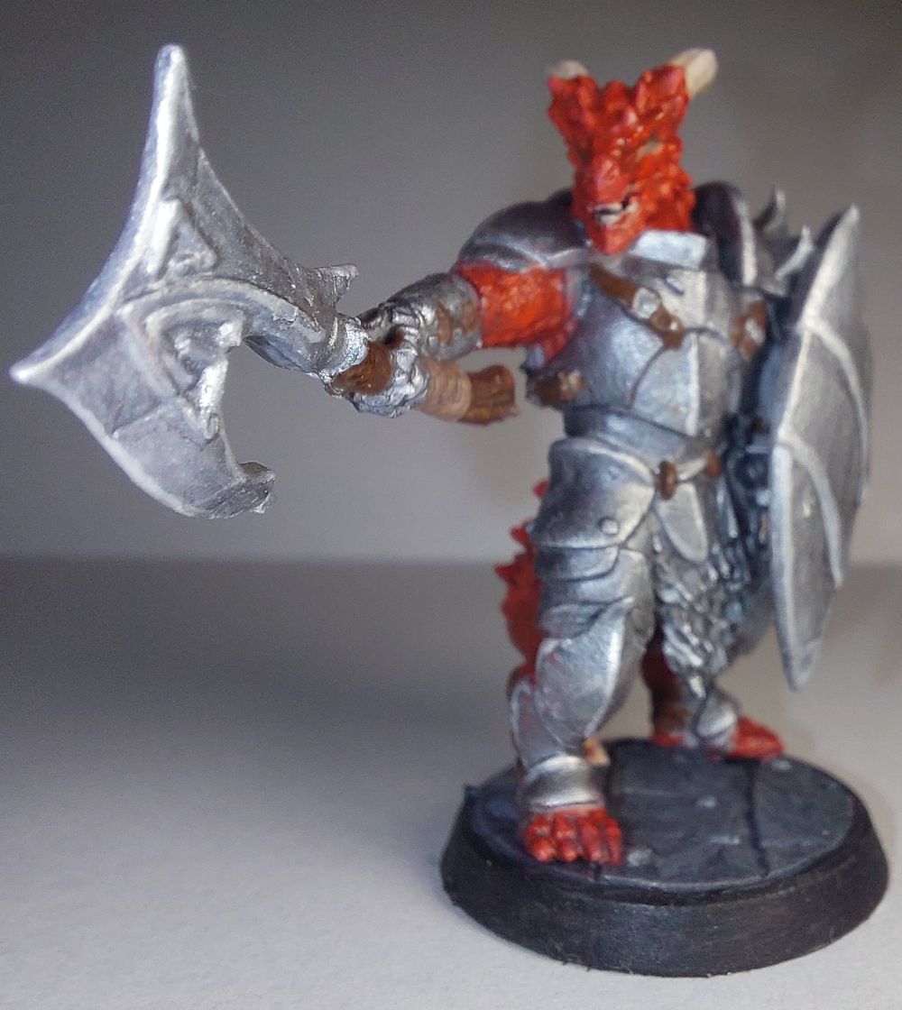 Dragonborn Fighter/Paladin