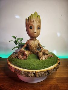Groot