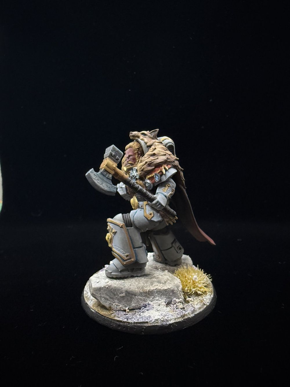 Space Wolf - Warhammer