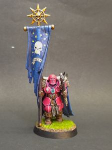 The Pink Knight