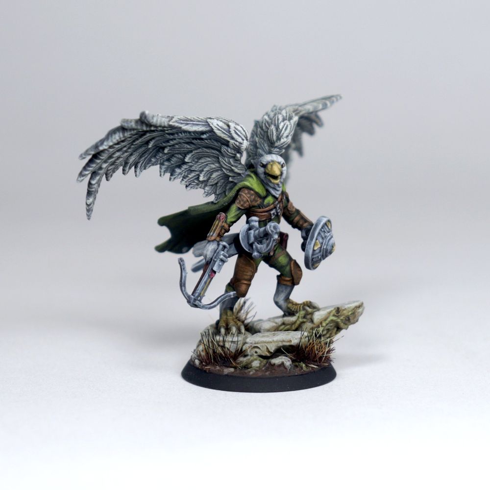 Aarakocra - D&D 5e