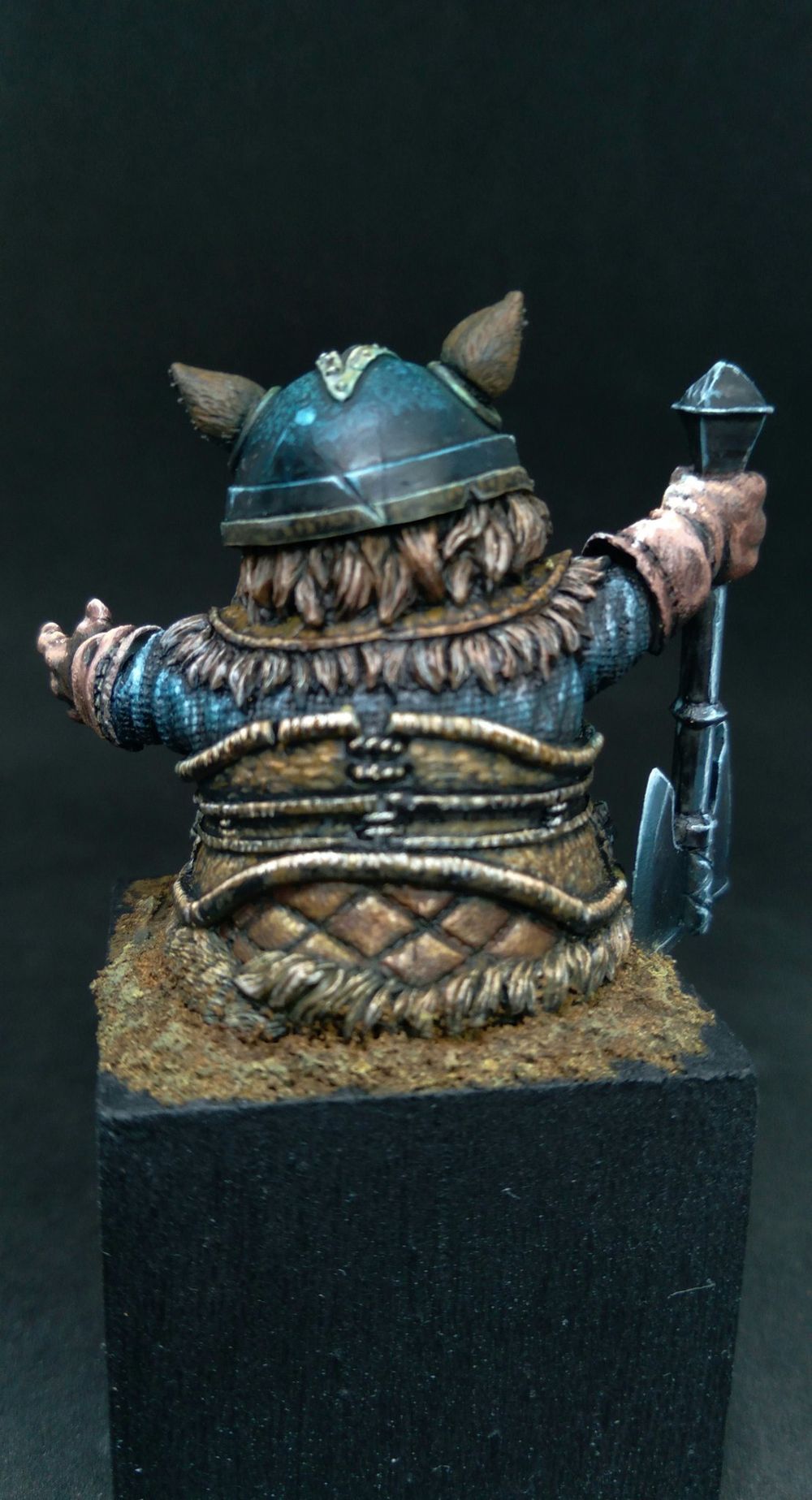 Viking Cat