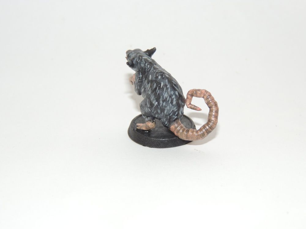 Rato / Mouse