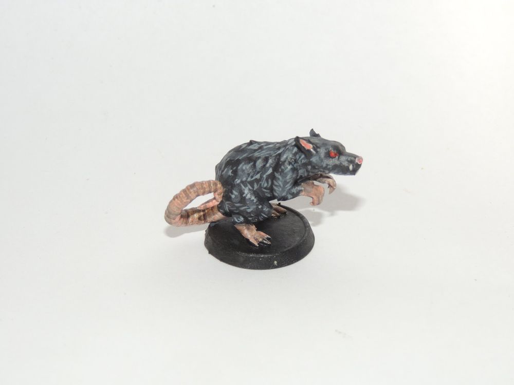 Rato / Mouse