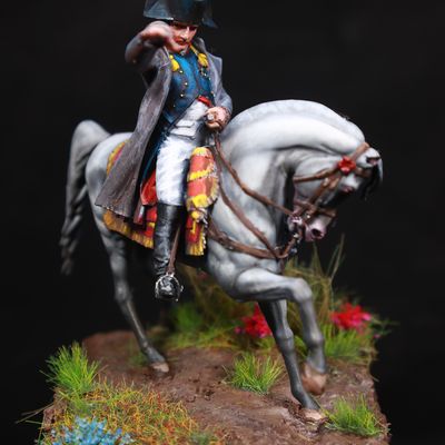 Napoleão Bonaparte