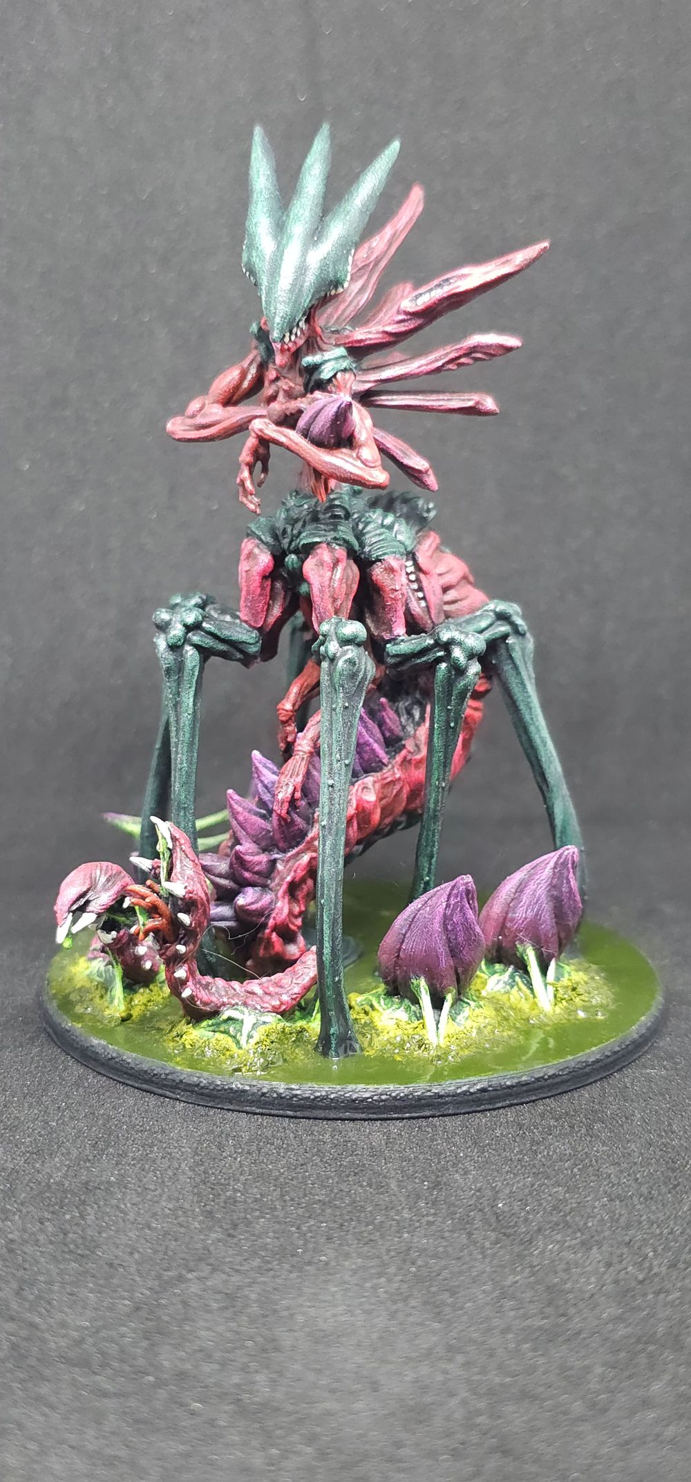 Rainha Xenomorfo