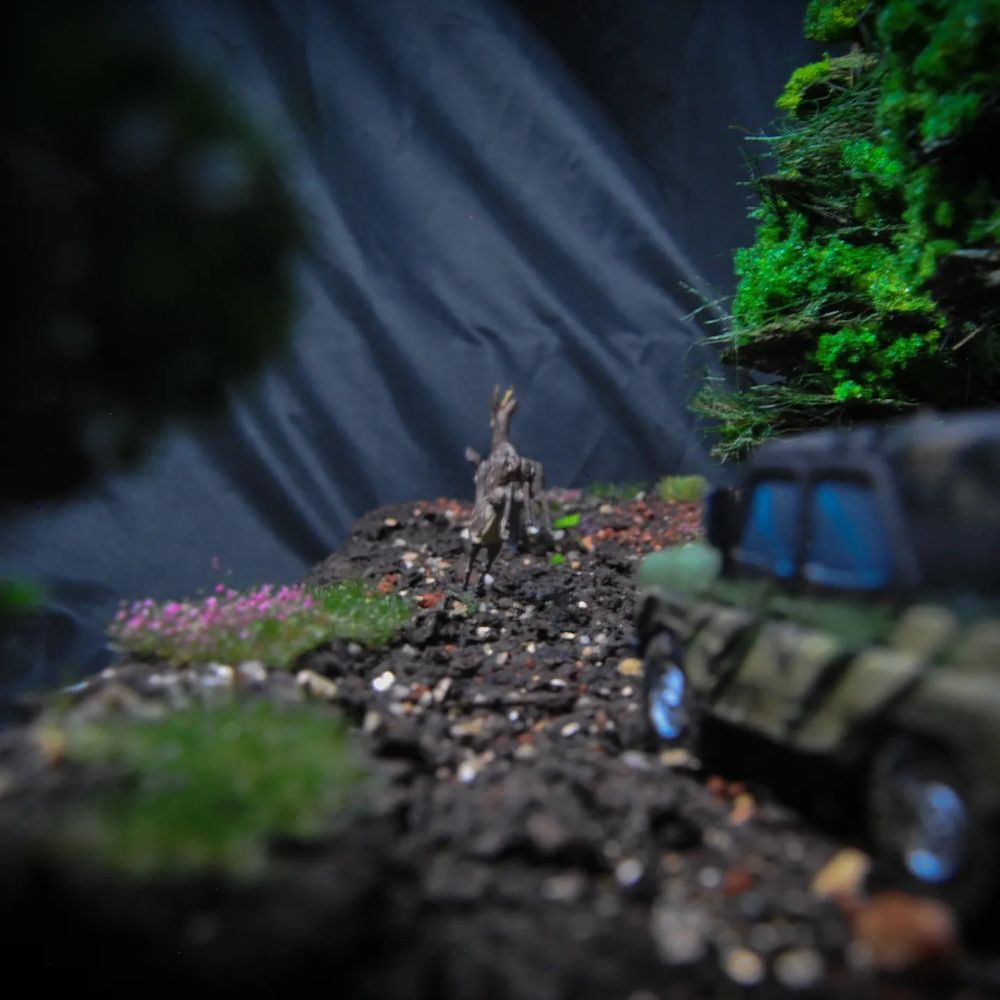 Forest Diorama