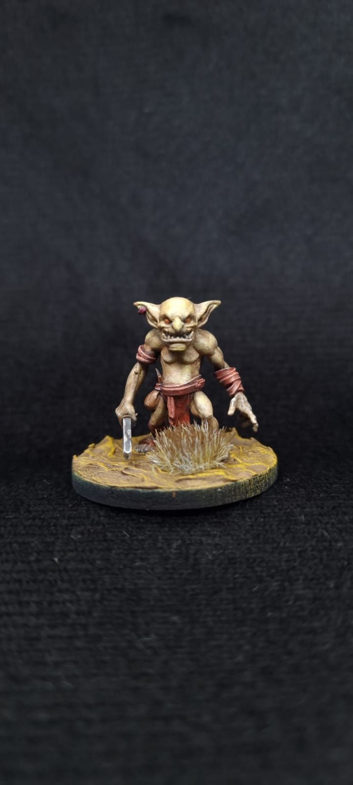 Goblin's Warband