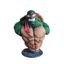 Raphael Bust