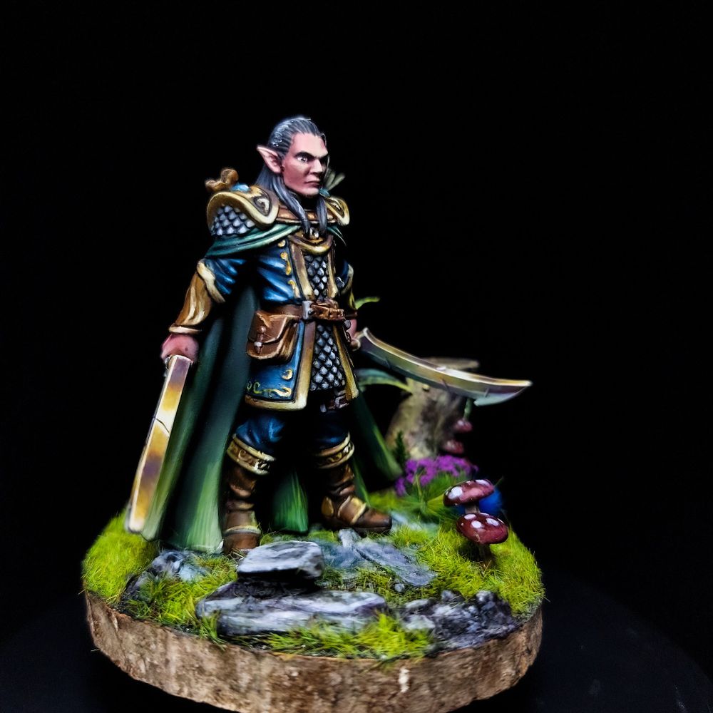 Elrond warrior preparado pra batalha