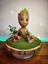 Groot