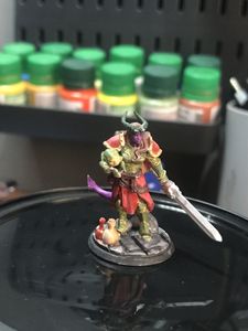 Tiefling paladina