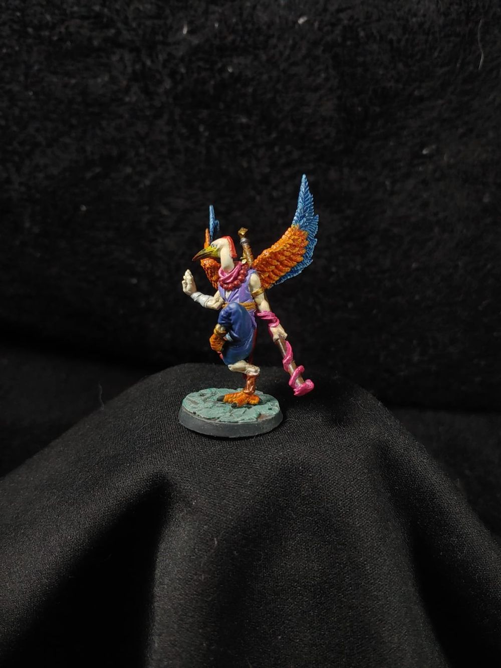 Monk Bird