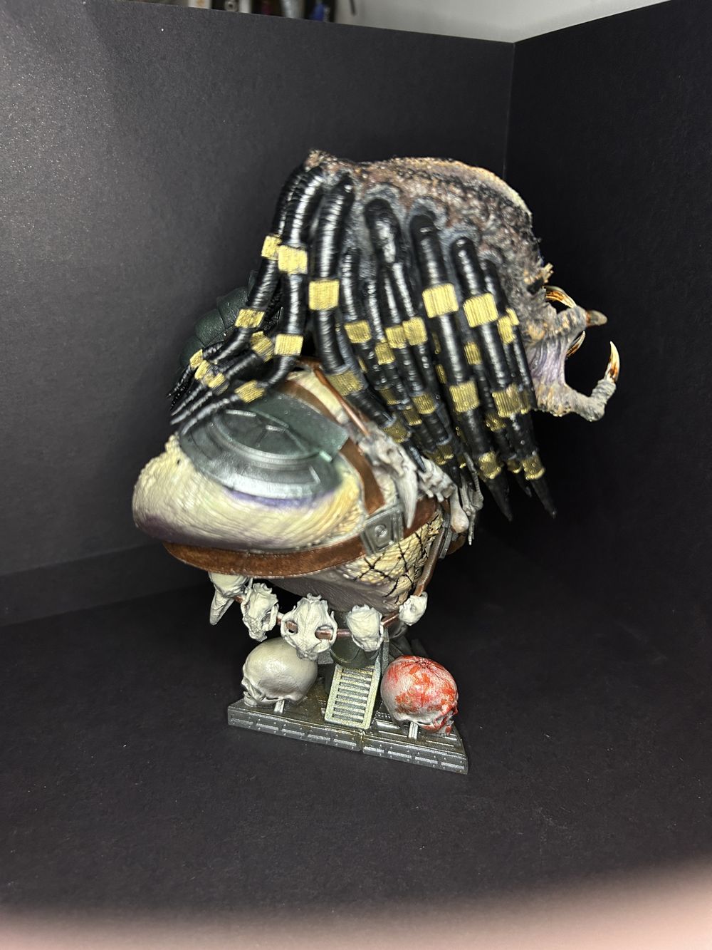 Predator Bust