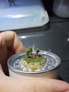 Diorama - Campfire/Fogueira