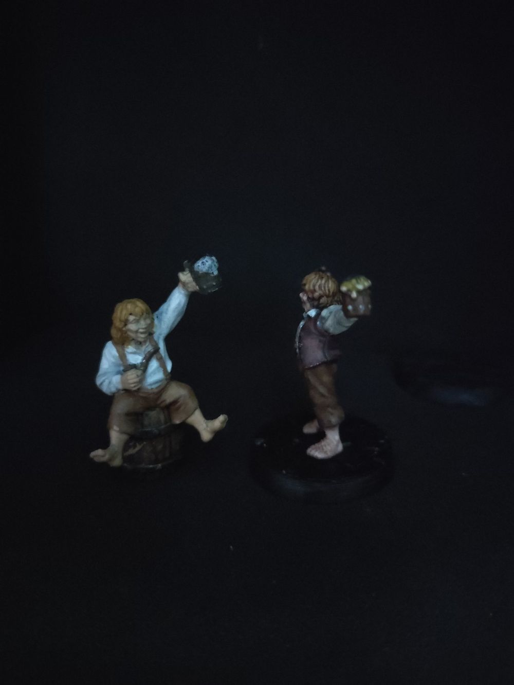 Peregrin Took & Meriadoc Brandebuque