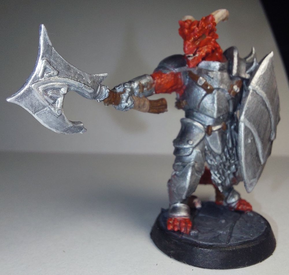 Dragonborn Fighter/Paladin