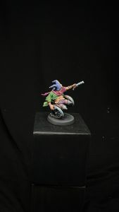 Jester on the wheelchair