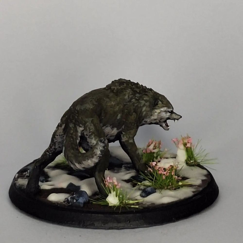 Lobo