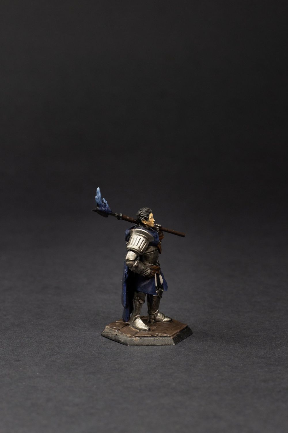 Frost Paladin