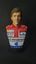 Ayrton Senna - Bust