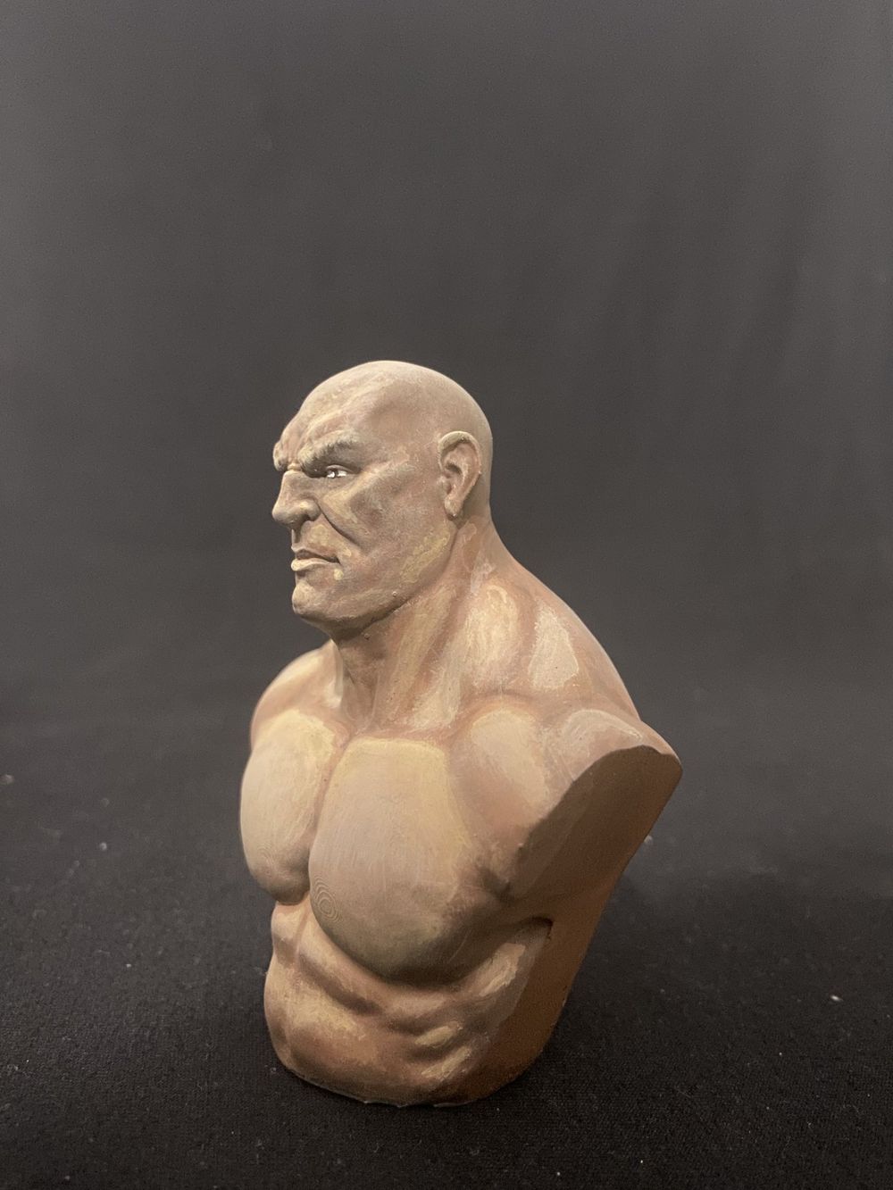 Busto acadêmico