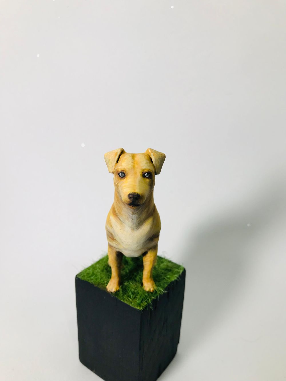 Brazilian Caramel Dog