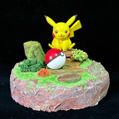 Pokémon