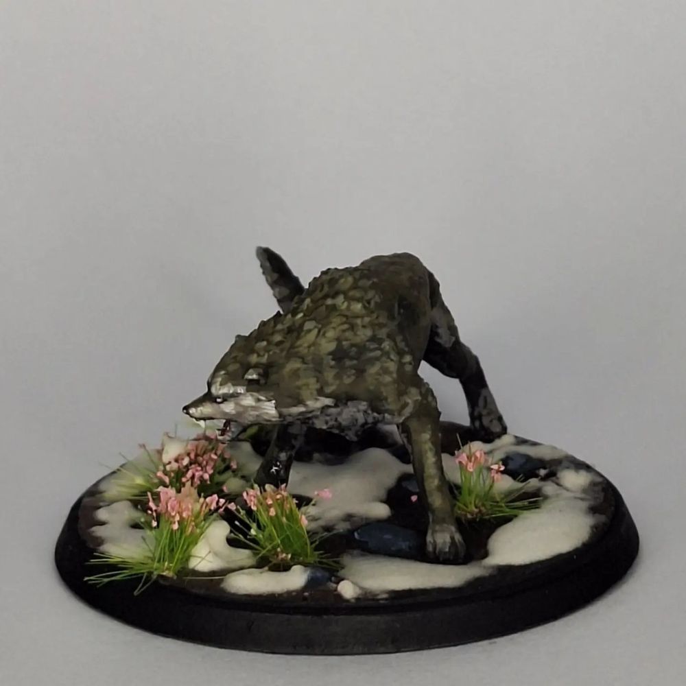 Lobo