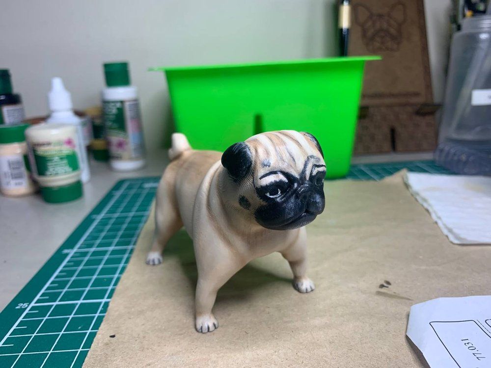 Pug