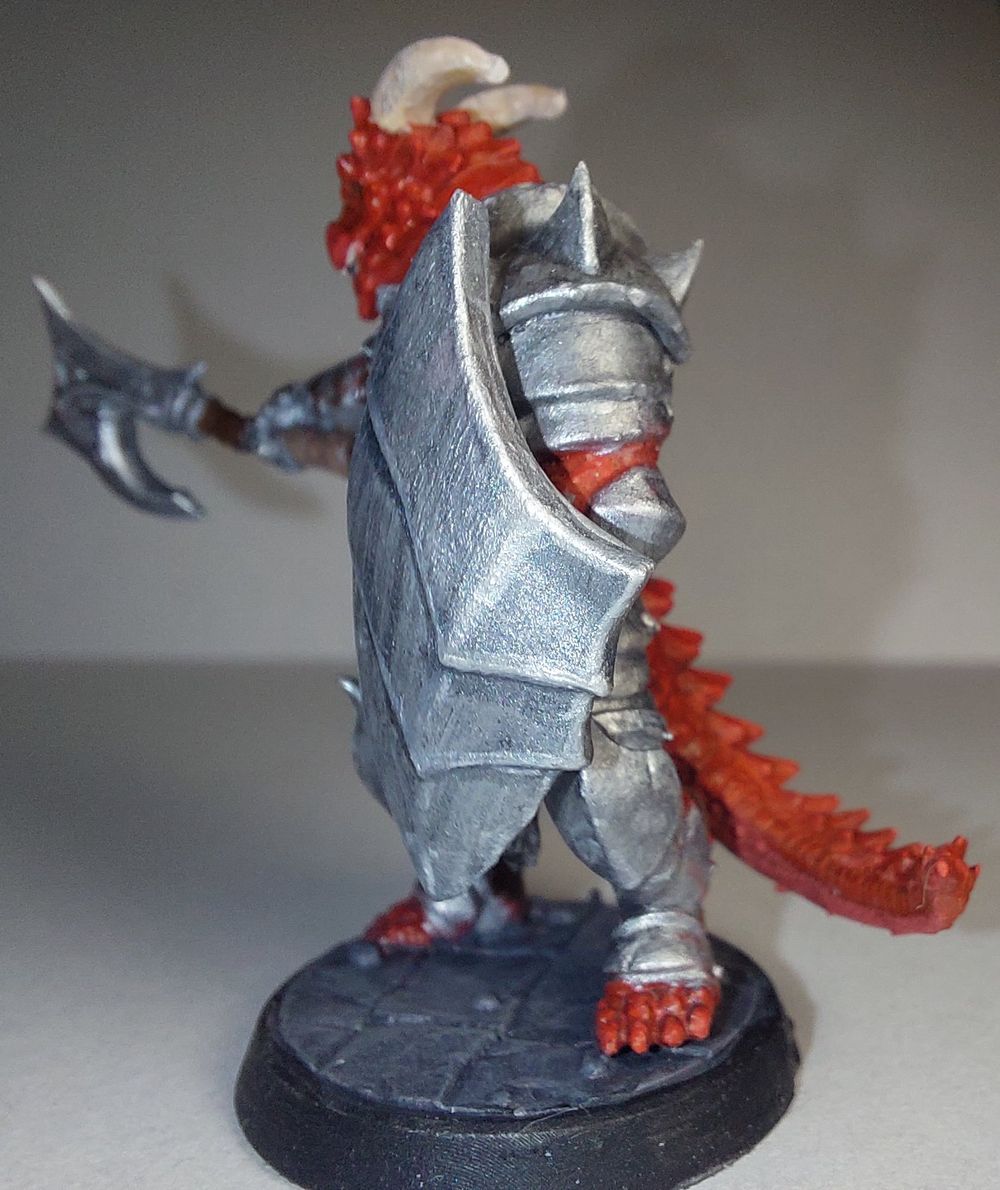 Dragonborn Fighter/Paladin