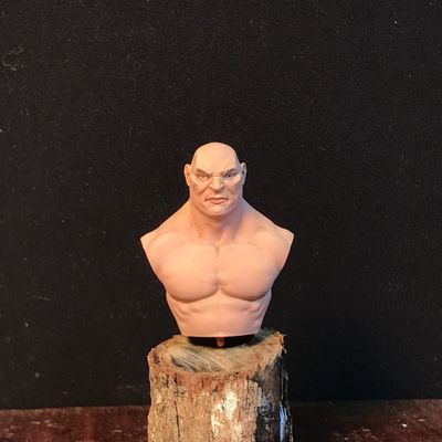 Bust PaintAlong