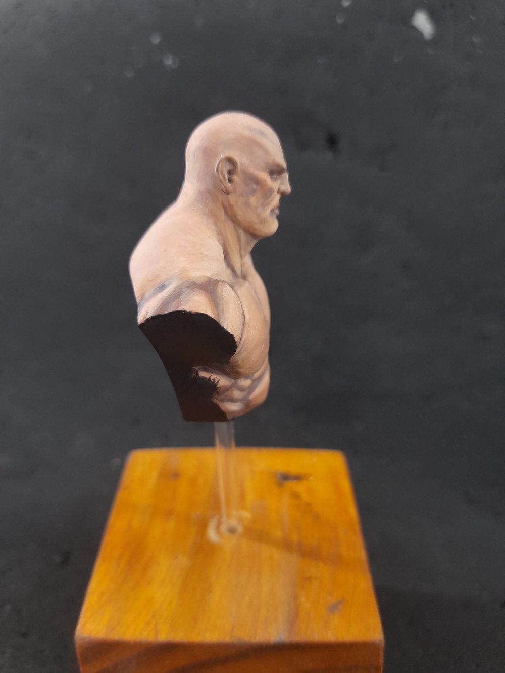 Busto do paint along