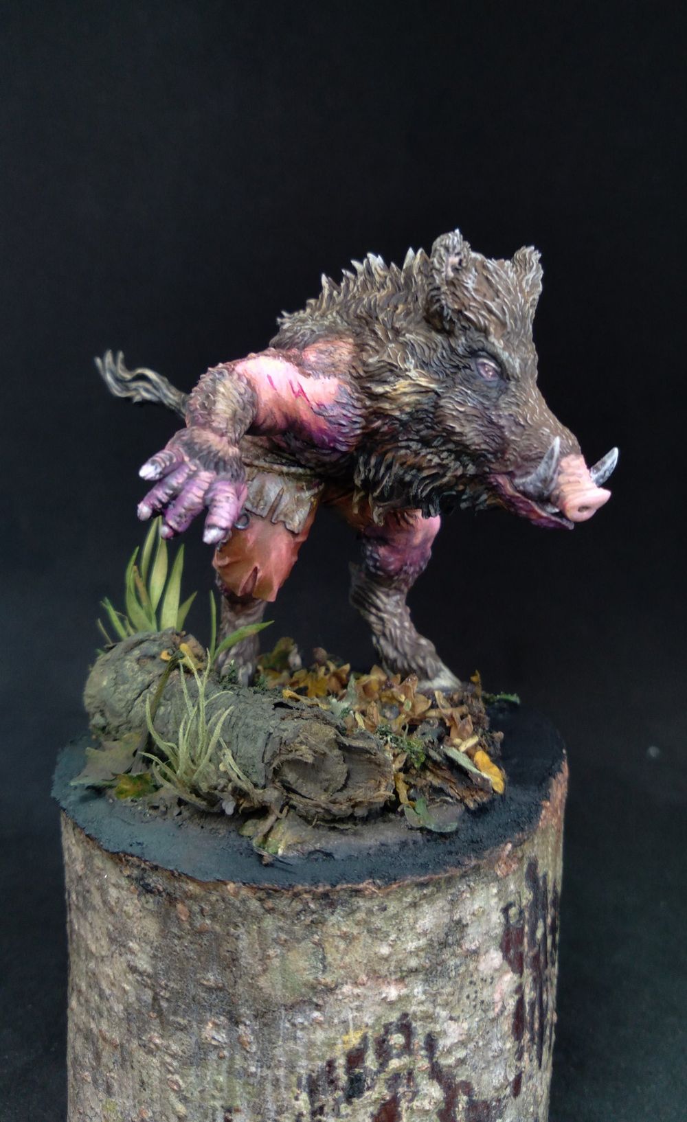 Wereboar - Asgard Rising