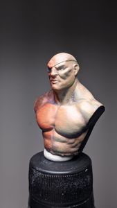 Busto do paint along